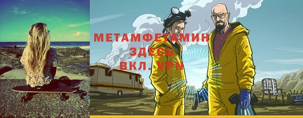 прущие грибы Алзамай