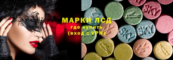 прущие грибы Алзамай