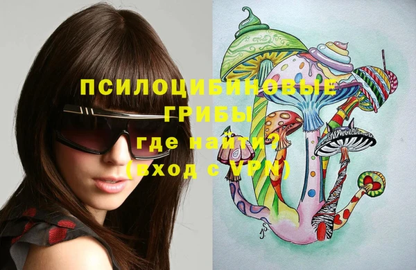 не бодяженный Алексин