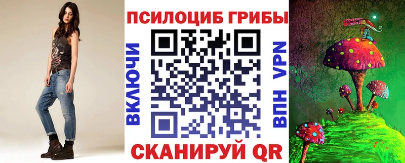 сколько стоит  кракен как войти  Псилоцибиновые грибы Cubensis  Арсеньев 